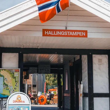 First Camp Hallingdal ゴール